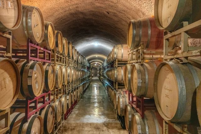 Napa Valley California Winery Visit